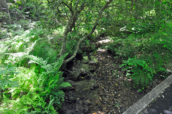 streams at Kings Mountain