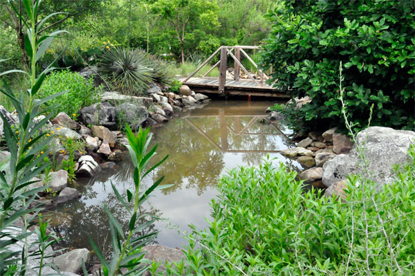 bridge to the Jurassic Garden