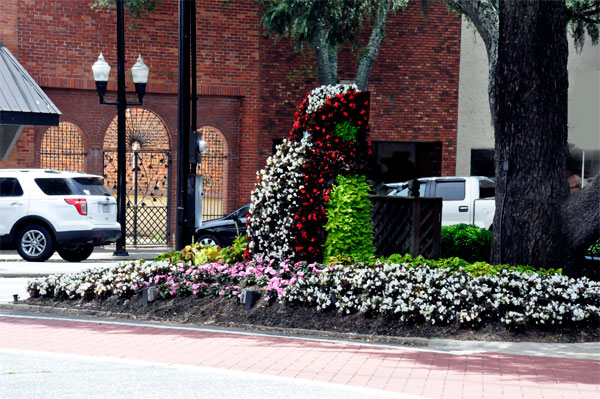 flowers in median downtown Forest City