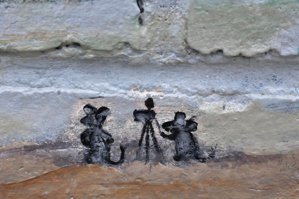 29 mice with camera