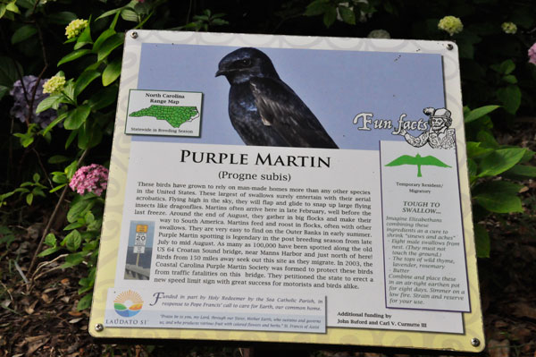 sign about a Purple Martin bird