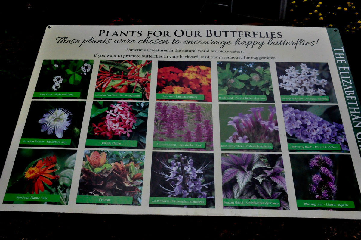 sign about Plants for Butterflies