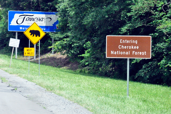 entering TN and Cherokee National Forest sign