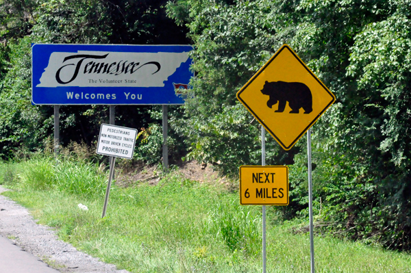 Tennessee and bear sign