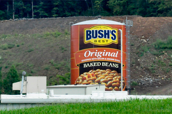 Bush's baked beans