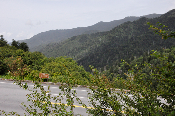 road to Clingman's Dome