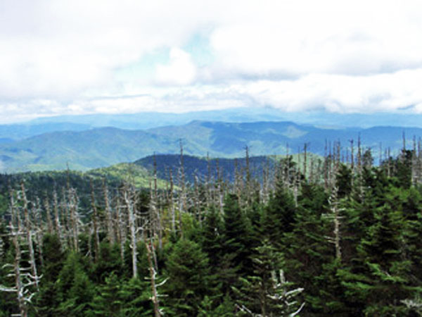 view from Clingman's Dome