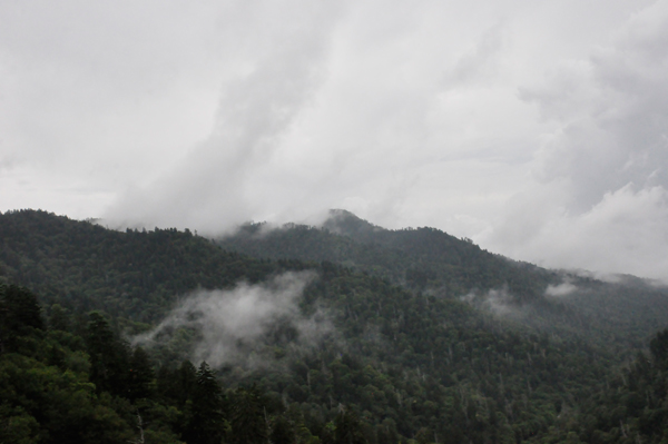 low clouds in the mountain