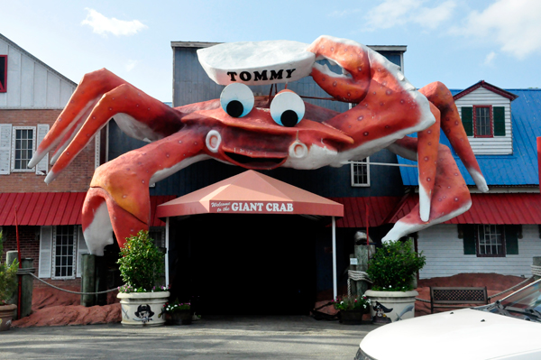 Tommy at the Giant Crab Restaurant