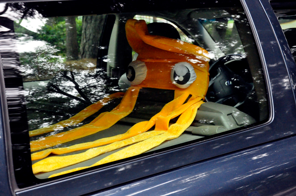 a weird critter in a car