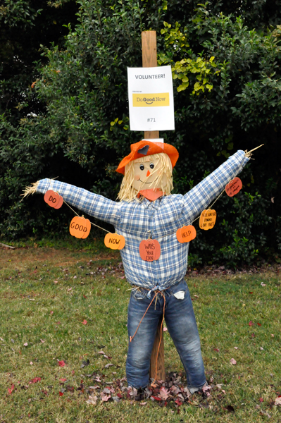 Volunteer scarecrow