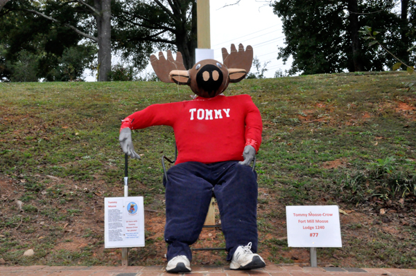 Tommy the Moose from The Moose Lodge