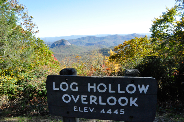 Log Hollow Overlook sign