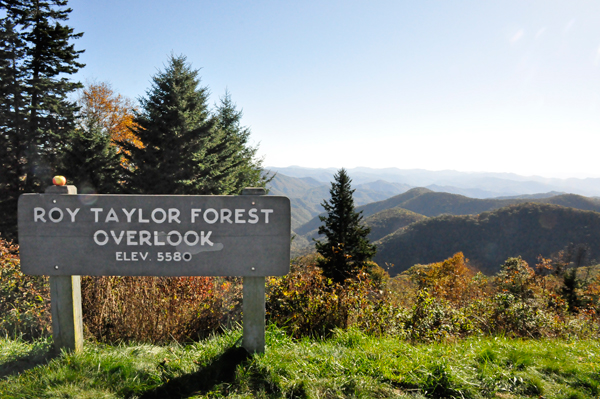 Roy Taylor Forest Overlook sign