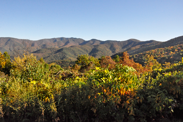 fall colors on the Blue Ridge Parkway