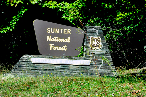 Sumter National Forest Sign