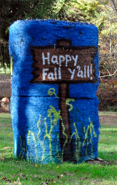 Happy Fall hay bales