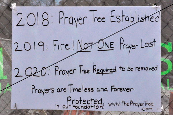 Prayer Tree sign