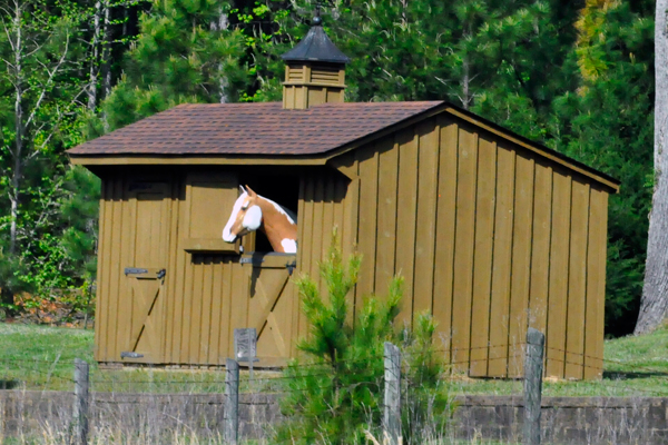 a fake horse in a barn