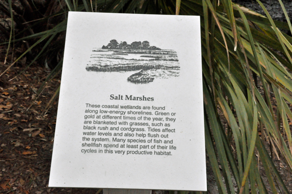 sign about Salt Marshes