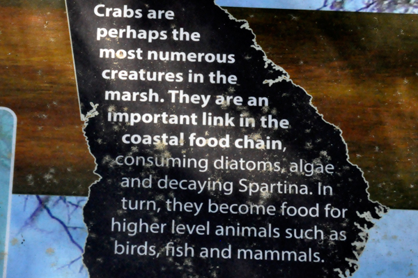 sign about crabs