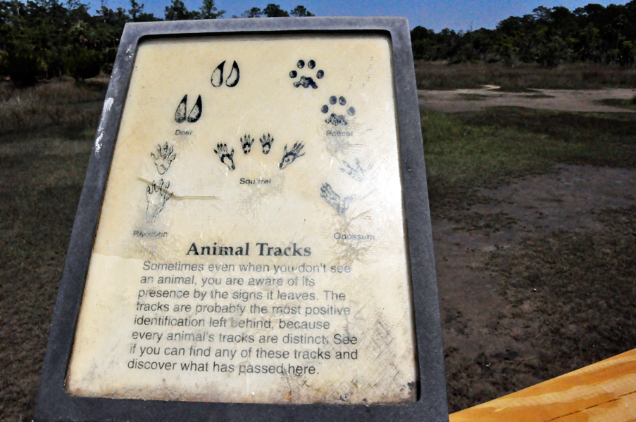sign about animal tracks