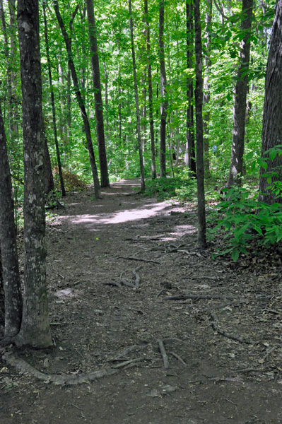 The path from the entry signs to The Big Boulder.