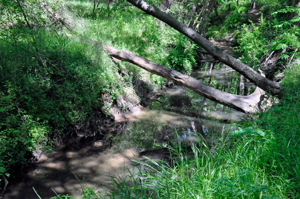 creek