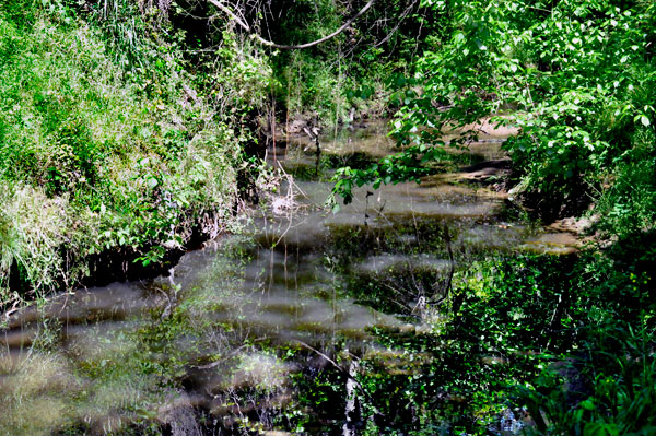 The creek at Big Rock Nature Preserve