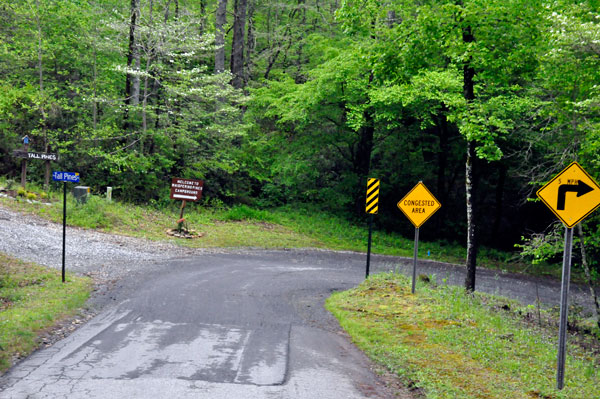 curvy entrance into Whispering Pines Campground