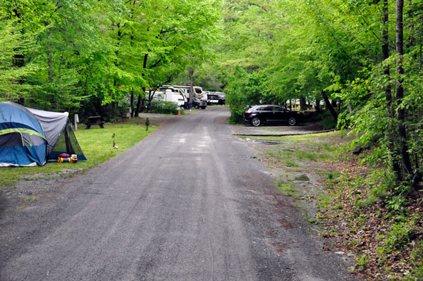 the dirt-gravel road in the campground