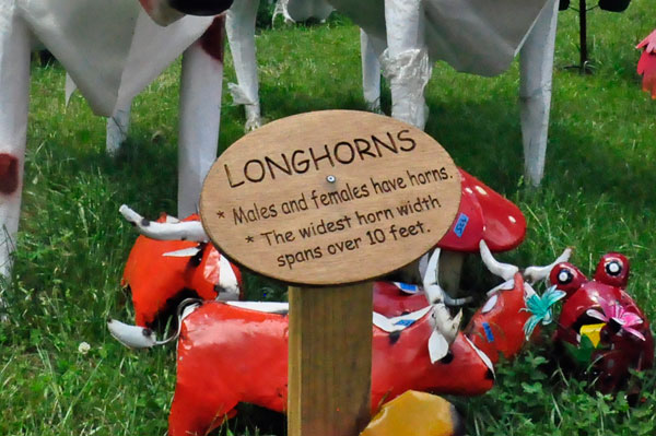 Longhorn sign