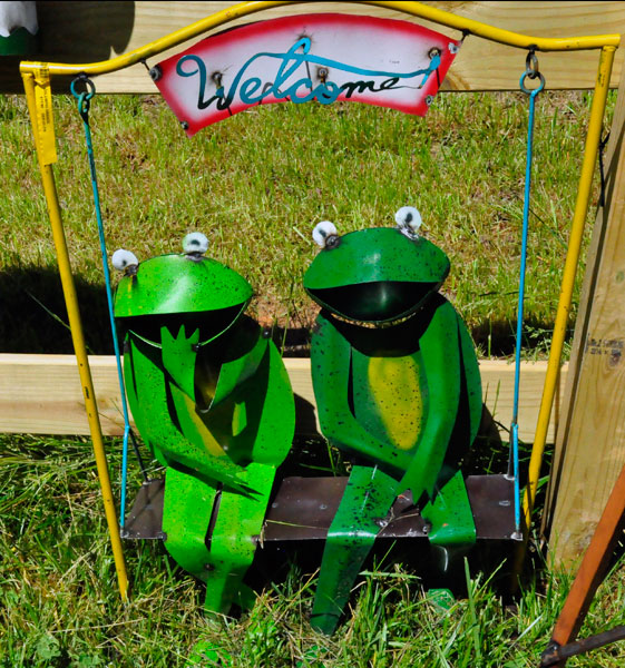 two love frogs