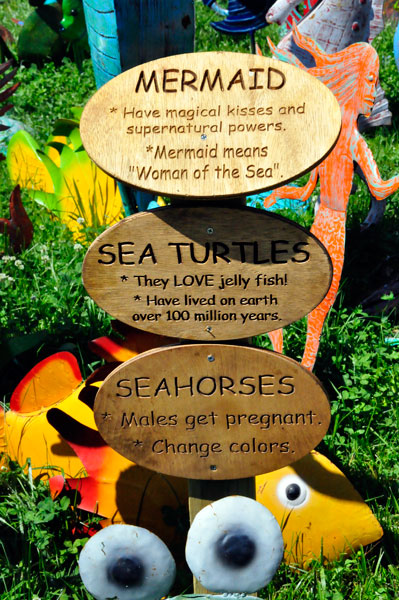sign about mermaids, sea turtles and seahorses