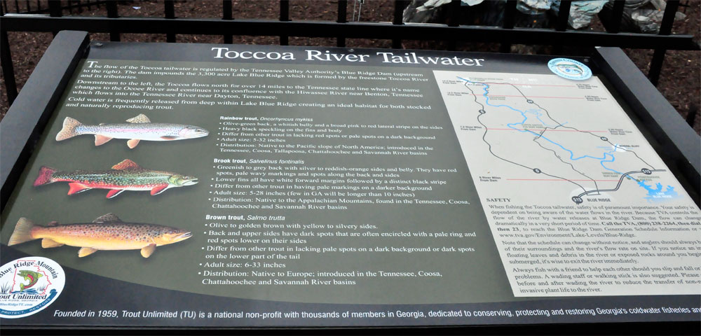 sign about Toccoa River Tailwater