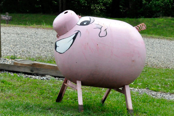 pink pig propane tank
