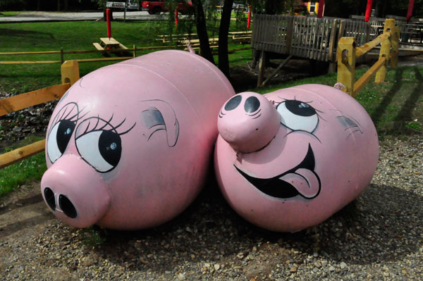 pink pig propane tanks