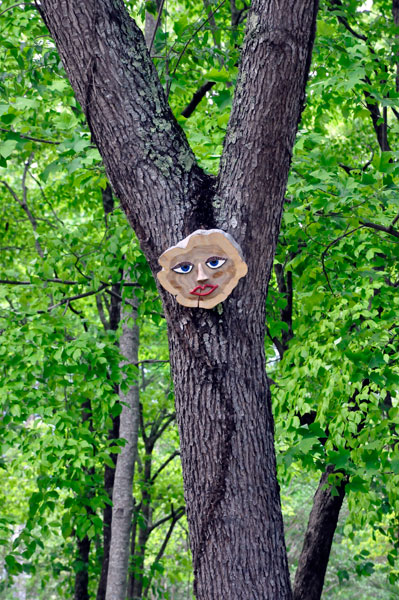 a face in the tree