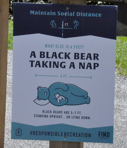 6-foot distance of black bear