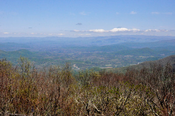 view from Brasstown Bald tower
