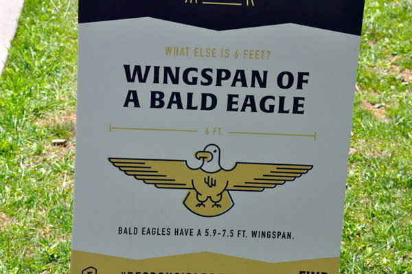 sign about wingspan of a bald eagle