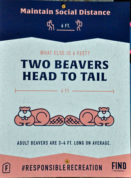 sign-size and beavers