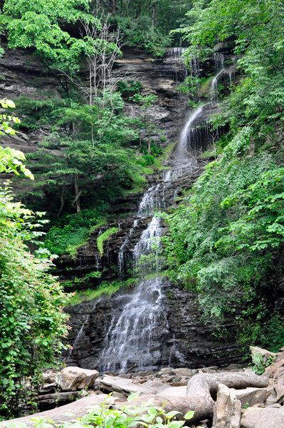 Cathedral Falls