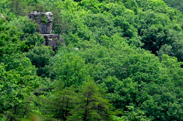 a big multi-level cliff in the trees