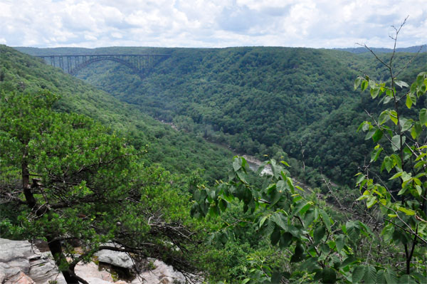 The New River Gorge Arch Briidge in the distance