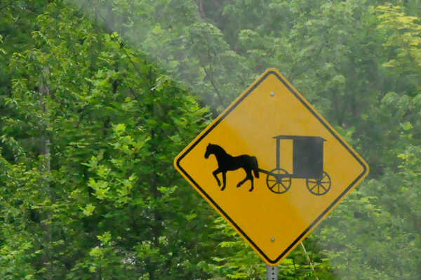 horse and buggy sign