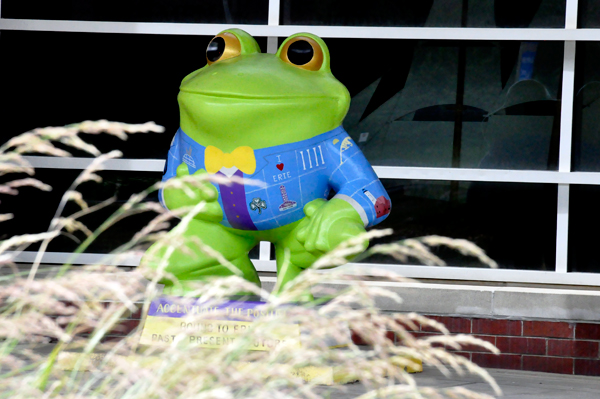 Froggie in the Window