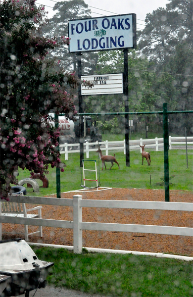 Four Oaks Lodging sign and fake deer