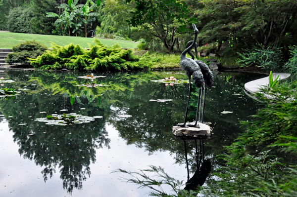 pond and statue