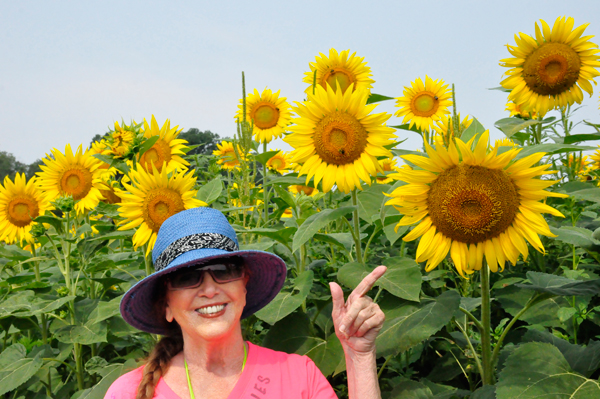 Karen Duquette and the Sunflowers